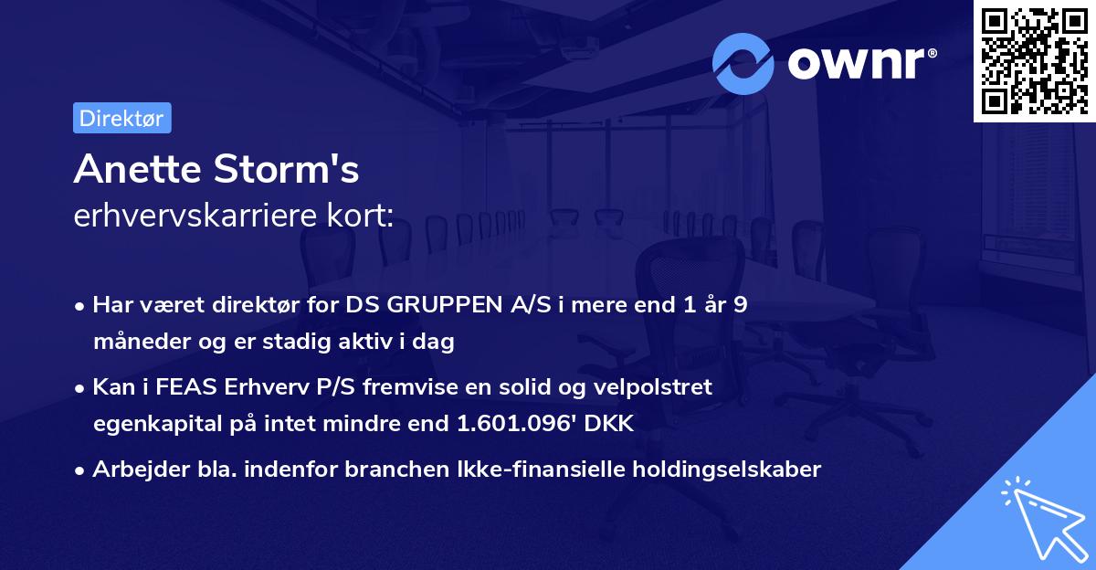 Anette Storm's erhvervskarriere kort