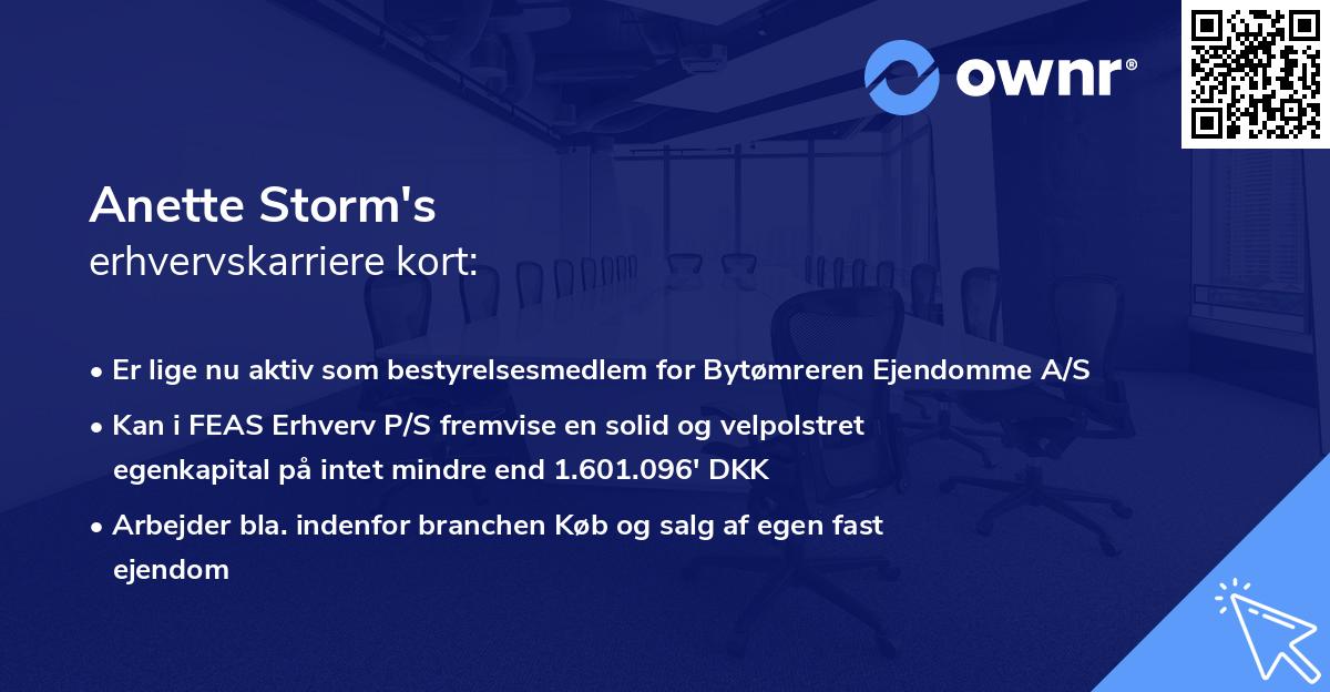 Anette Storm's erhvervskarriere kort