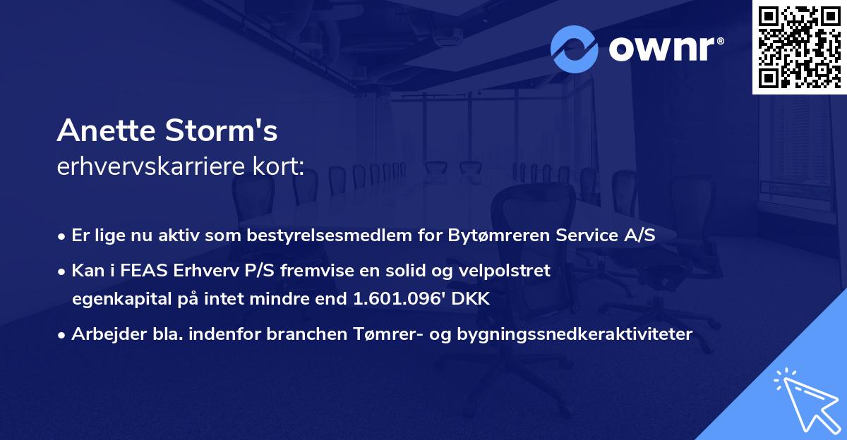 Anette Storm's erhvervskarriere kort