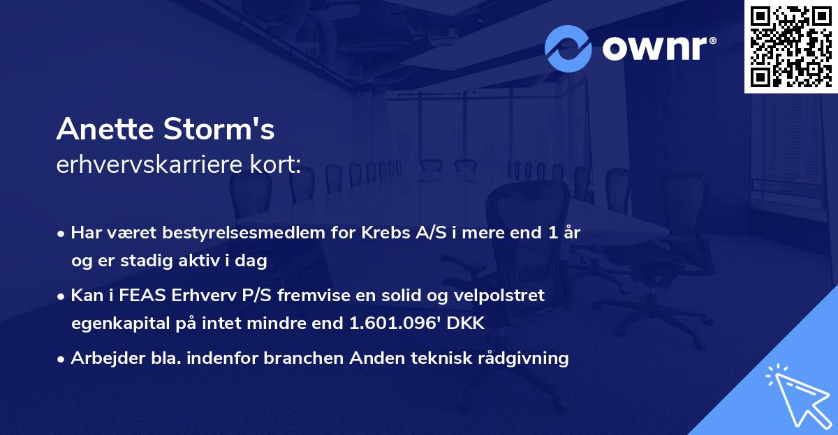 Anette Storm's erhvervskarriere kort