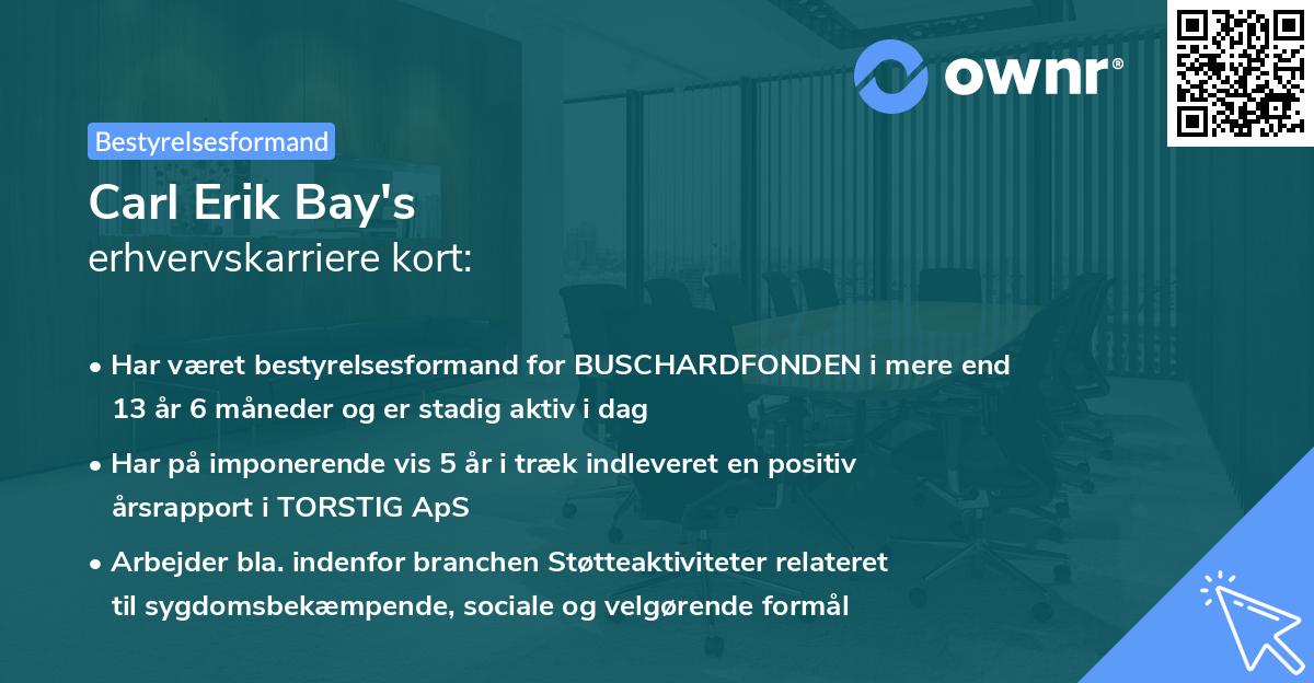 Carl Erik Bay's erhvervskarriere kort
