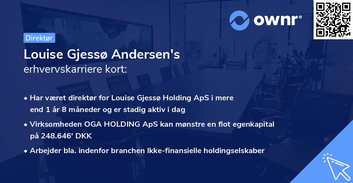 Louise Gjessø Andersen's erhvervskarriere kort