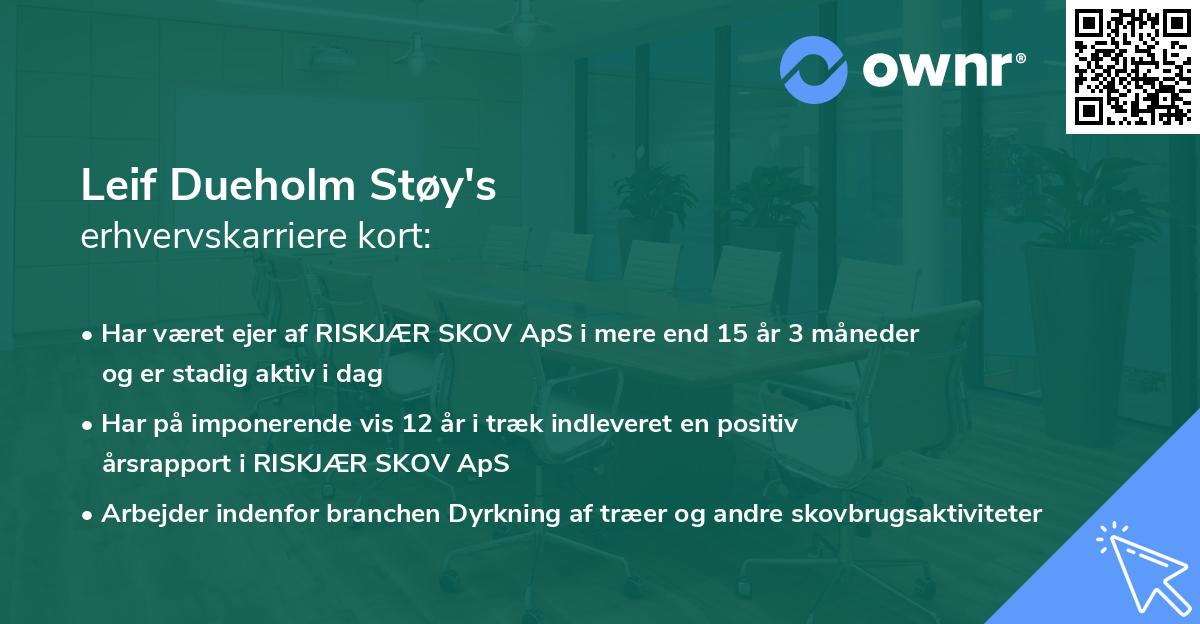 Leif Dueholm Støy's erhvervskarriere kort