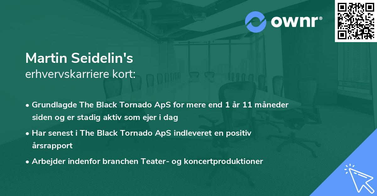 Martin Seidelin's erhvervskarriere kort