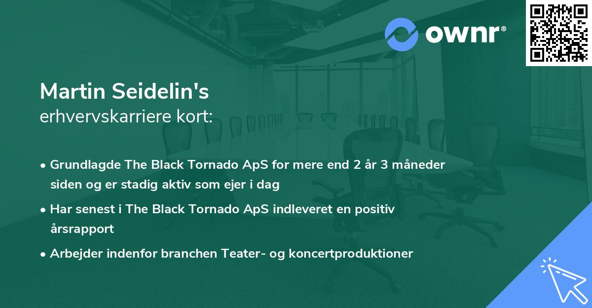 Martin Seidelin's erhvervskarriere kort