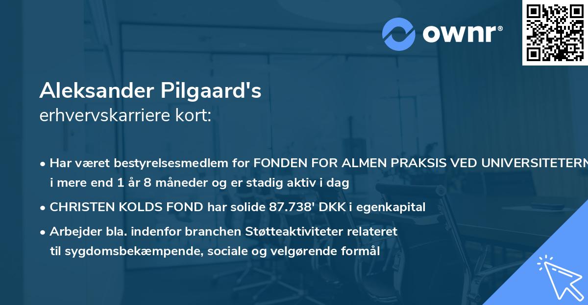 Aleksander Pilgaard's erhvervskarriere kort