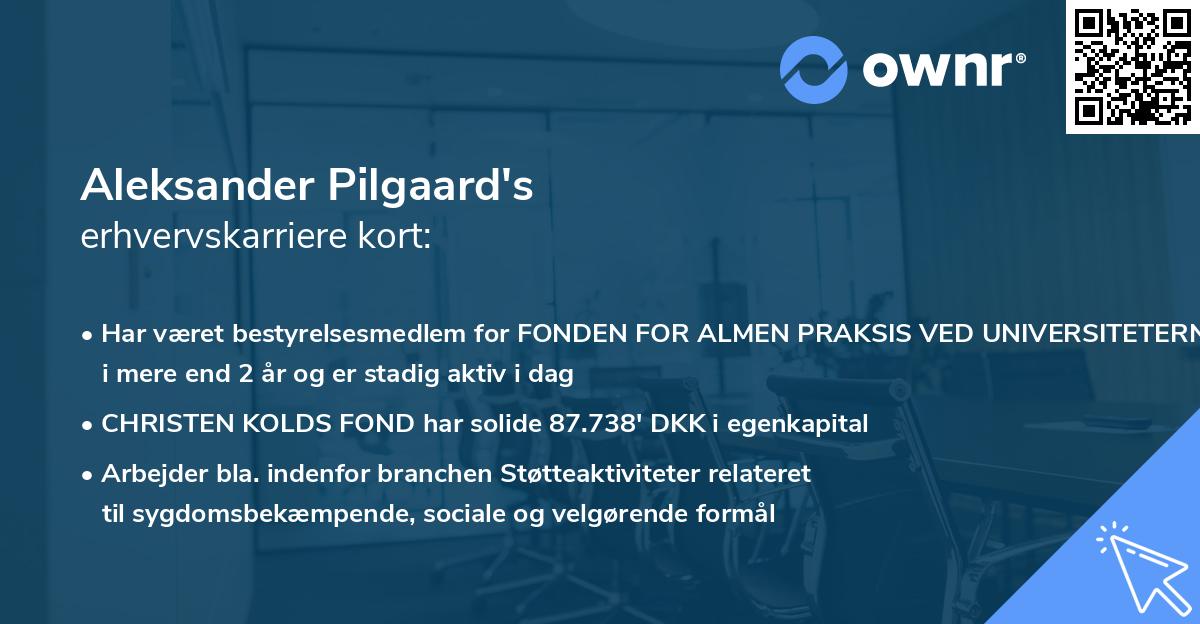 Aleksander Pilgaard's erhvervskarriere kort