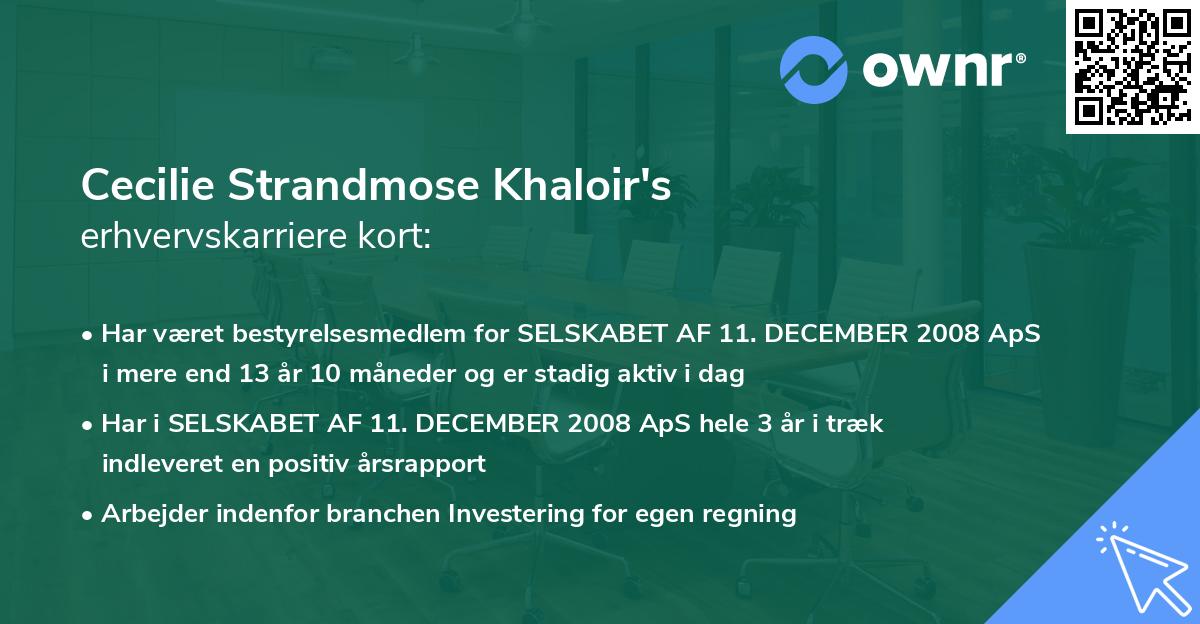 Cecilie Strandmose Khaloir's erhvervskarriere kort