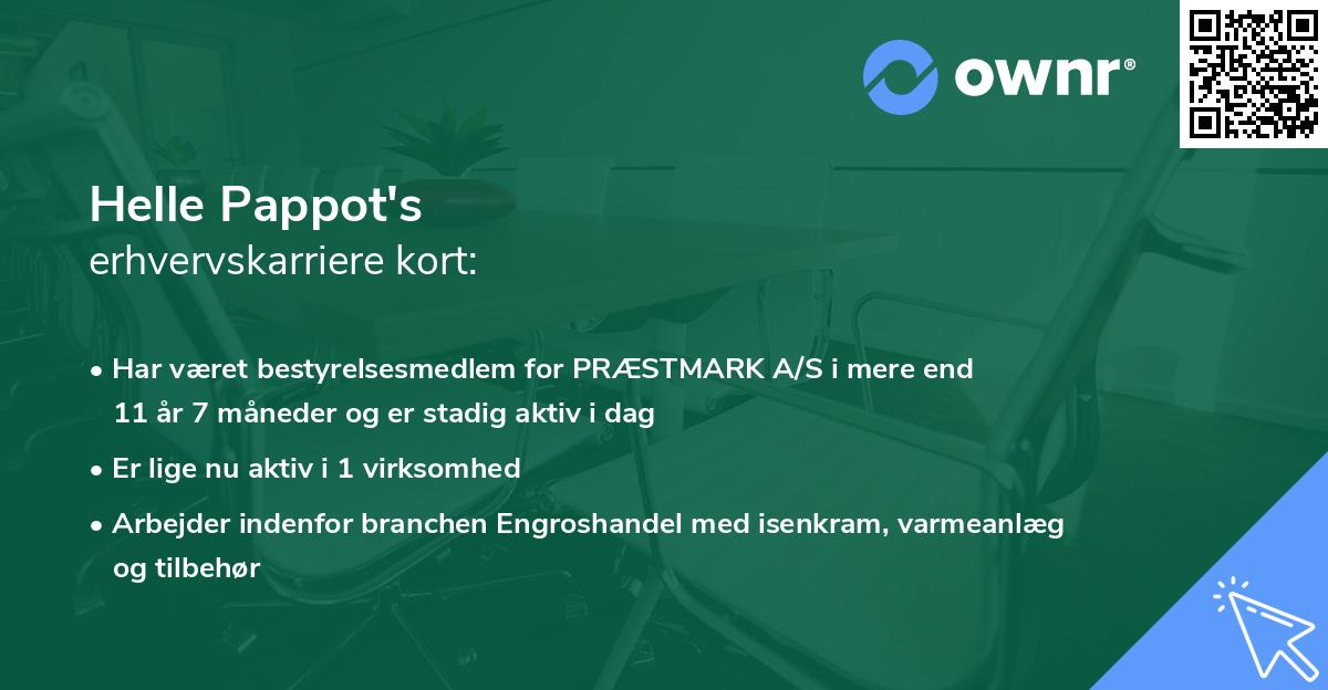 Helle Pappot's erhvervskarriere kort