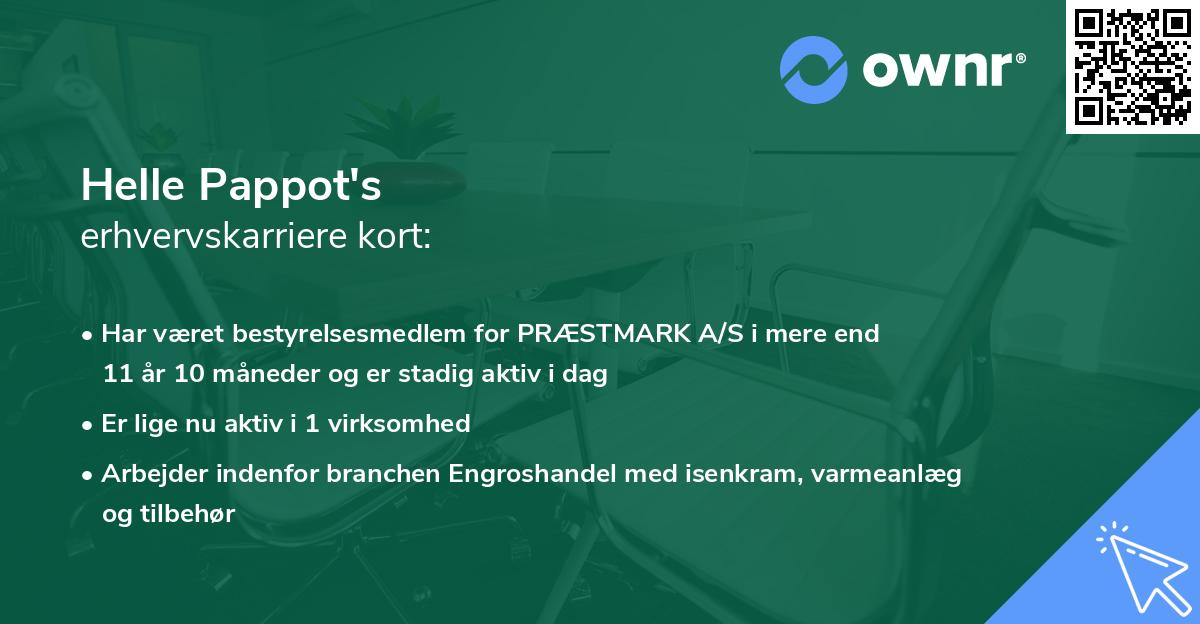 Helle Pappot's erhvervskarriere kort