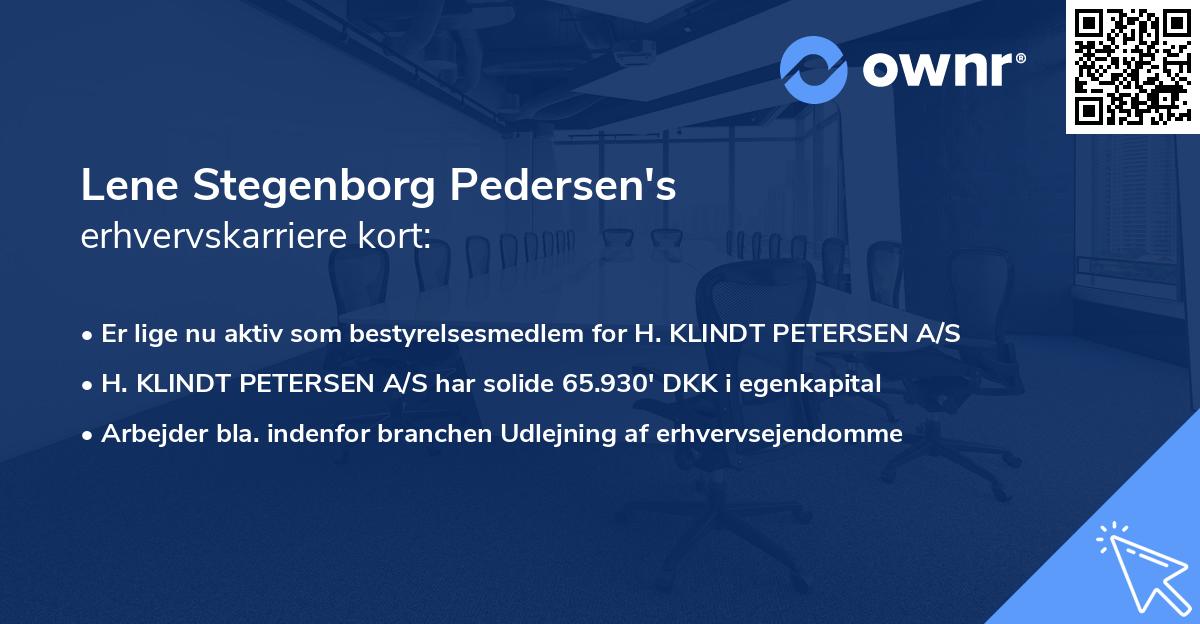 Lene Stegenborg Pedersen's erhvervskarriere kort