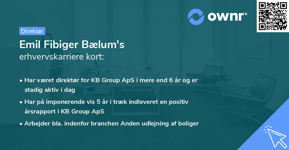 Emil Fibiger Bælum's erhvervskarriere kort