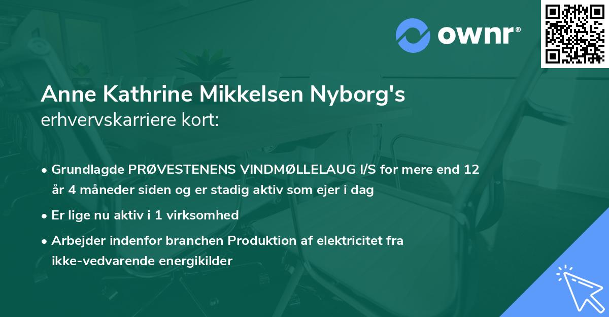 Anne Kathrine Mikkelsen Nyborg's erhvervskarriere kort