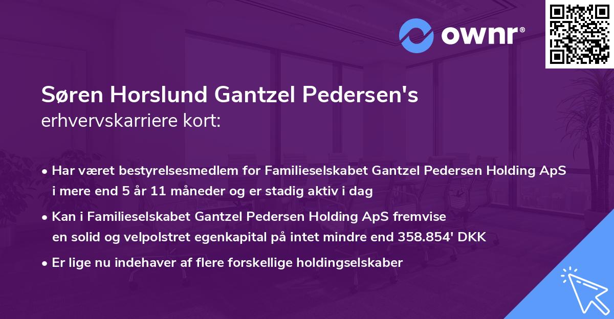 Søren Horslund Gantzel Pedersen's erhvervskarriere kort