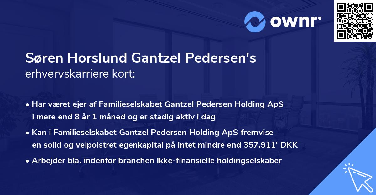 Søren Horslund Gantzel Pedersen's erhvervskarriere kort