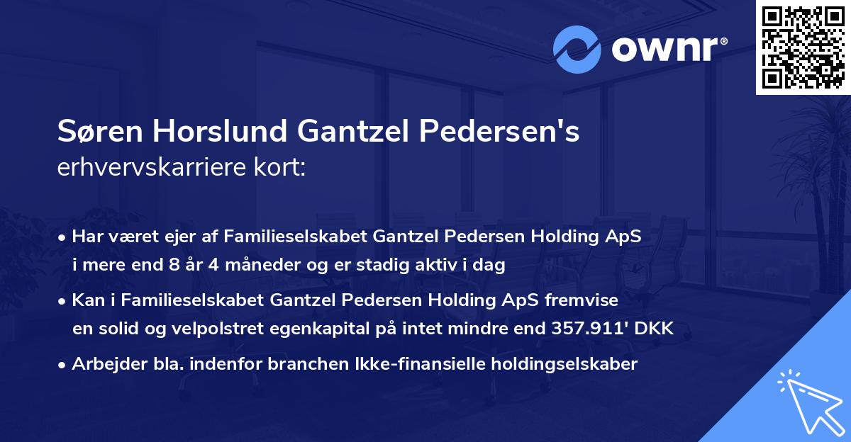 Søren Horslund Gantzel Pedersen's erhvervskarriere kort