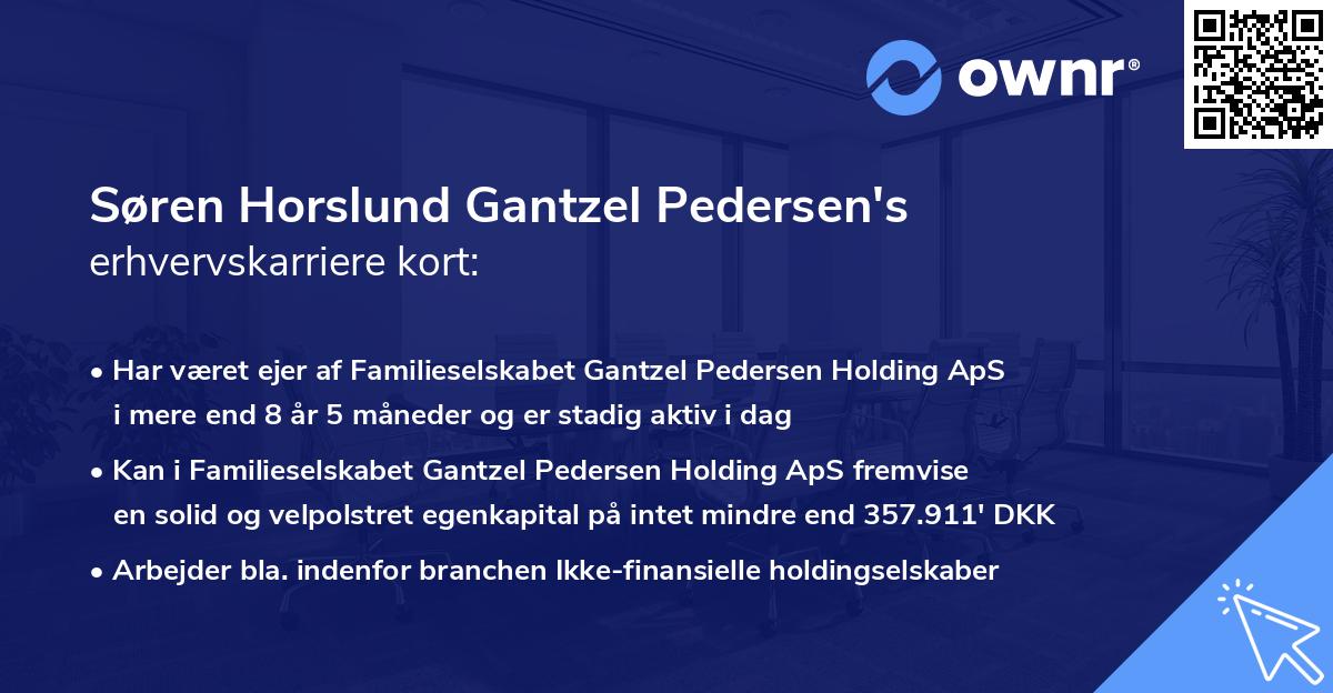 Søren Horslund Gantzel Pedersen's erhvervskarriere kort