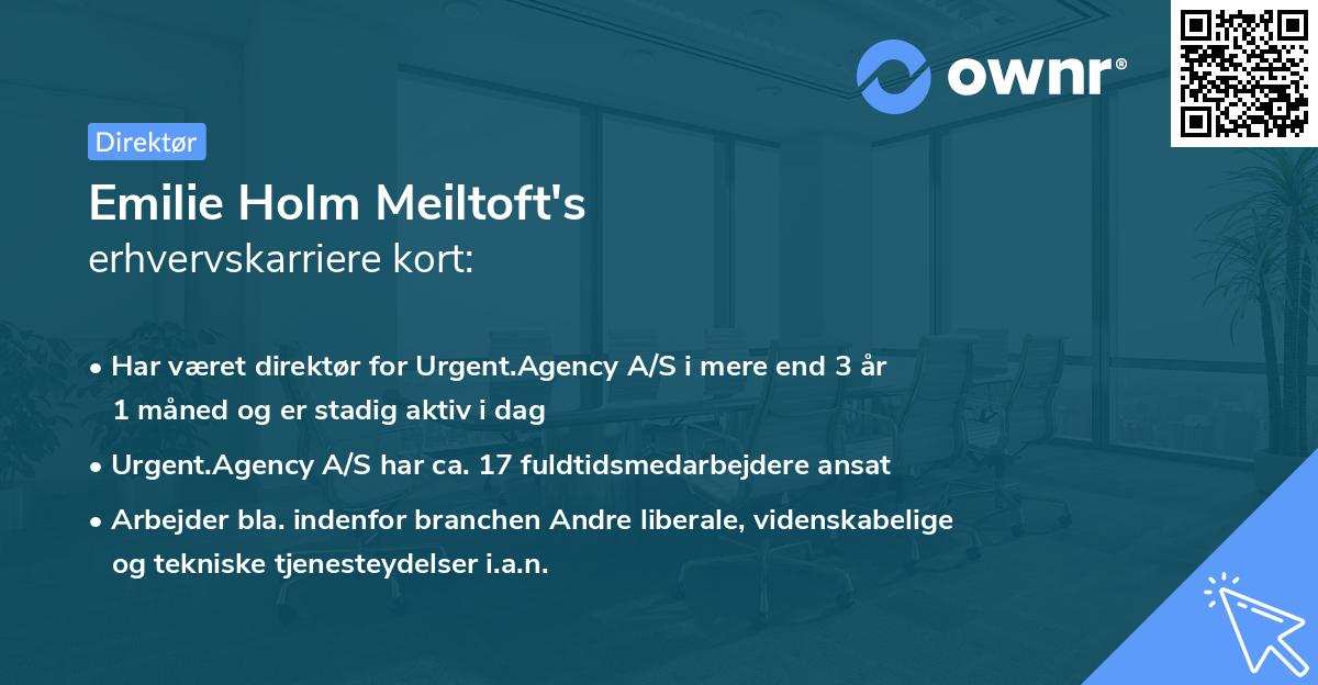 Emilie Holm Meiltoft's erhvervskarriere kort