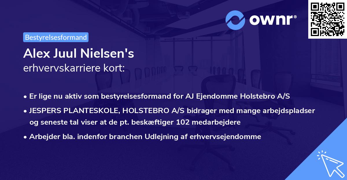 Alex Juul Nielsen's erhvervskarriere kort