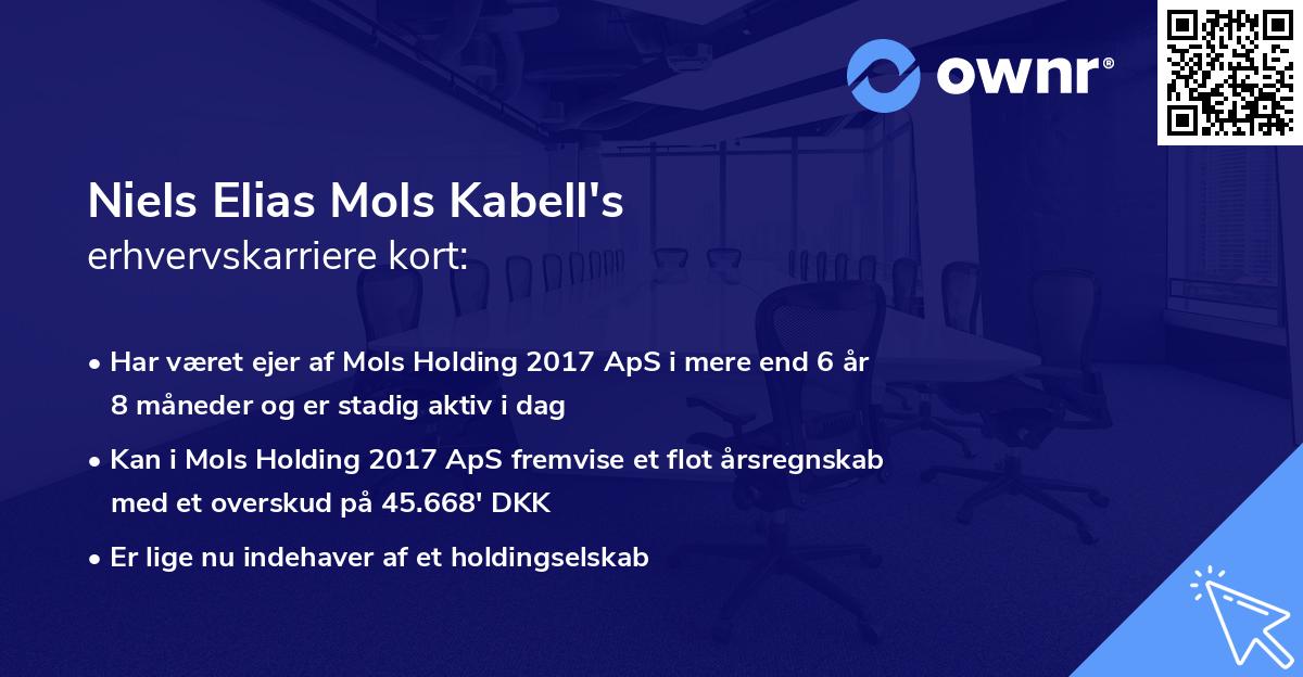 Niels Elias Mols Kabell's erhvervskarriere kort