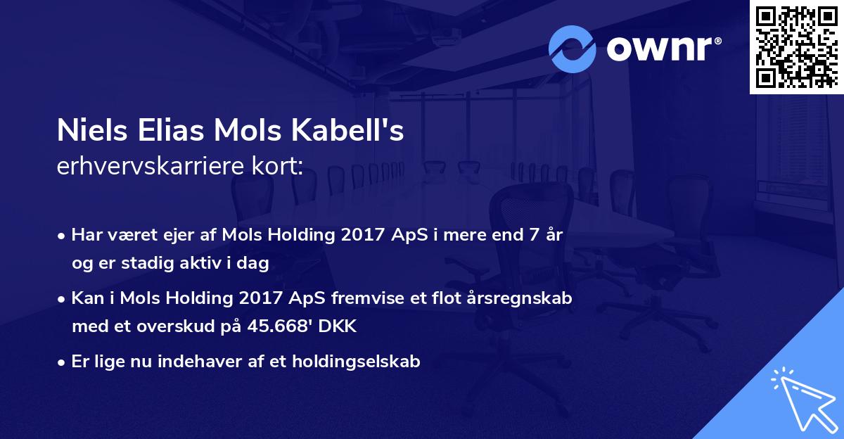 Niels Elias Mols Kabell's erhvervskarriere kort