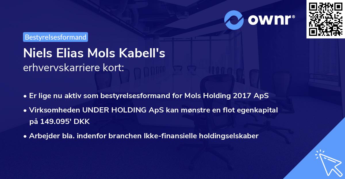 Niels Elias Mols Kabell's erhvervskarriere kort
