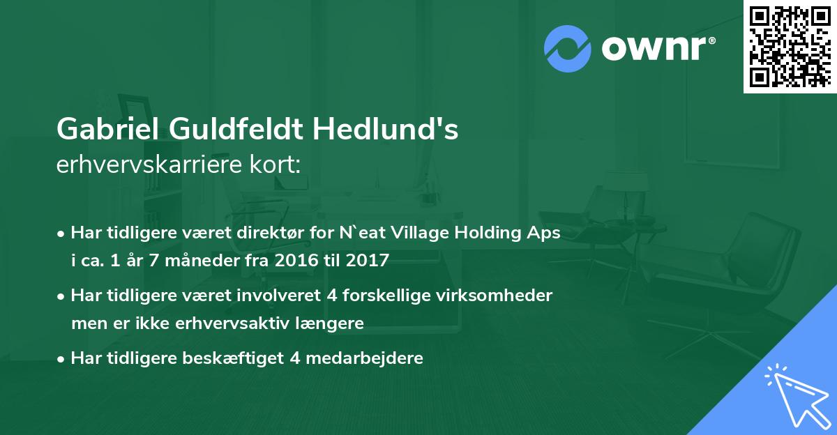 Gabriel Guldfeldt Hedlund's erhvervskarriere kort