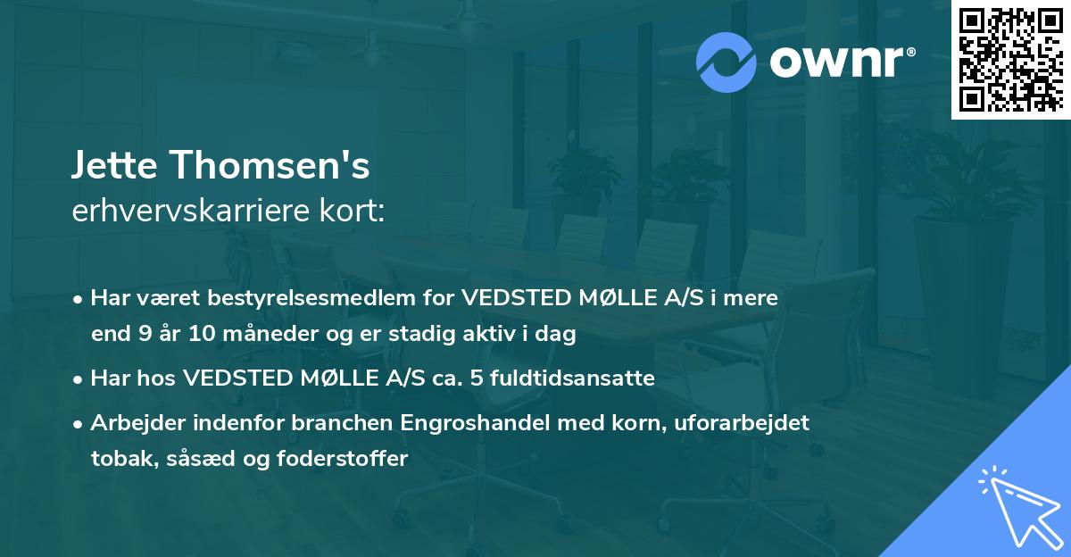Jette Thomsen's erhvervskarriere kort
