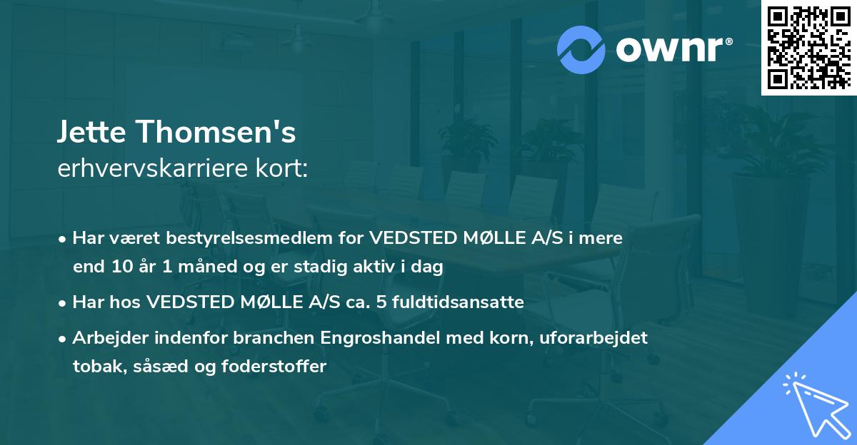 Jette Thomsen's erhvervskarriere kort