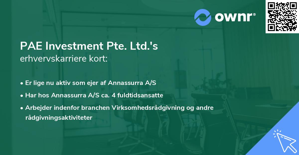 PAE Investment Pte. Ltd.'s erhvervskarriere kort