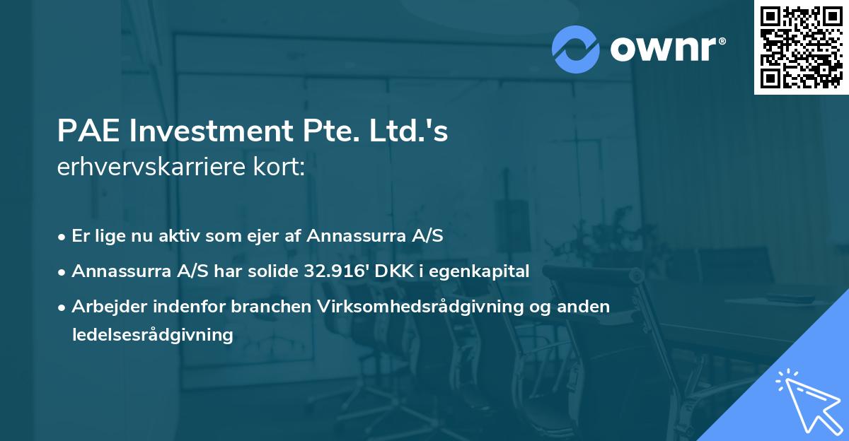 PAE Investment Pte. Ltd.'s erhvervskarriere kort