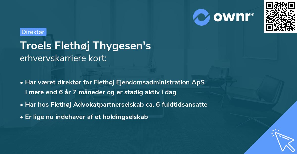 Troels Flethøj Thygesen's erhvervskarriere kort