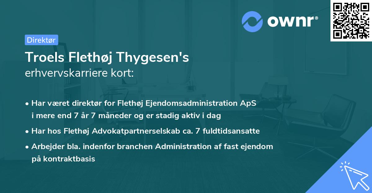 Troels Flethøj Thygesen's erhvervskarriere kort