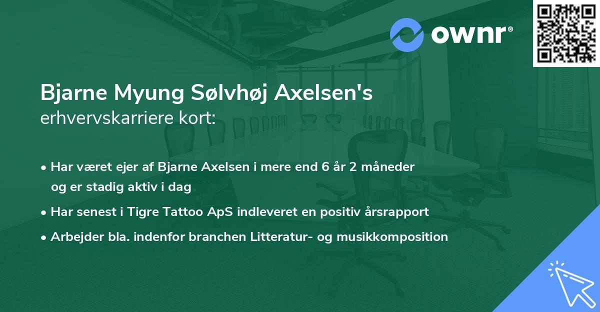 Bjarne Myung Sølvhøj Axelsen's erhvervskarriere kort