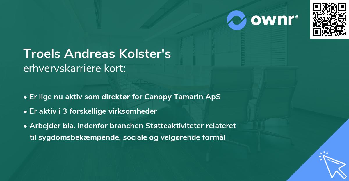Troels Andreas Kolster's erhvervskarriere kort