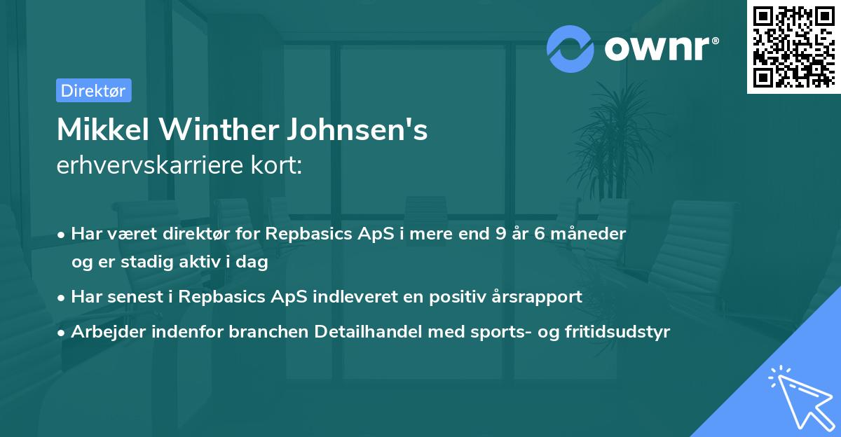 Mikkel Winther Johnsen's erhvervskarriere kort