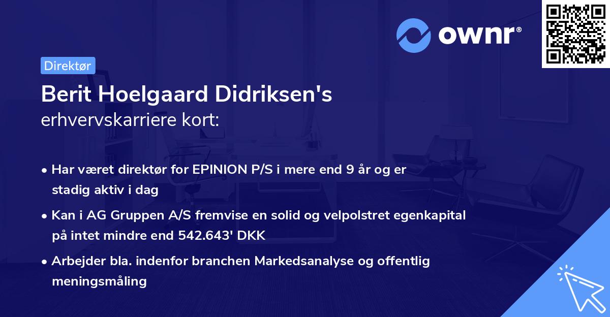 Berit Hoelgaard Didriksen's erhvervskarriere kort