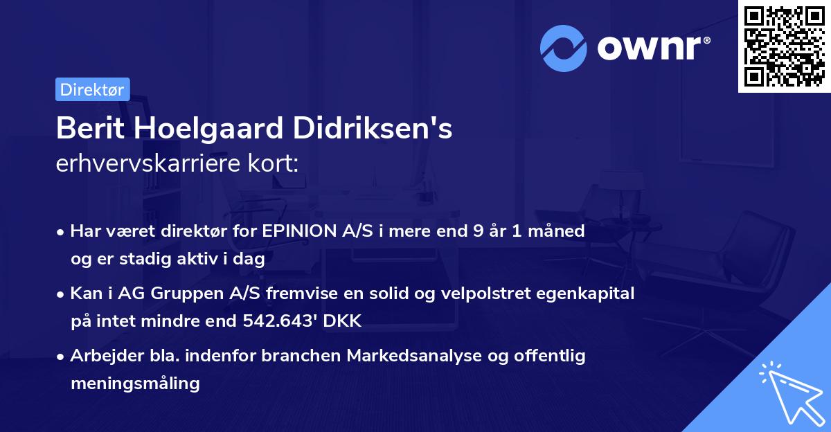 Berit Hoelgaard Didriksen's erhvervskarriere kort