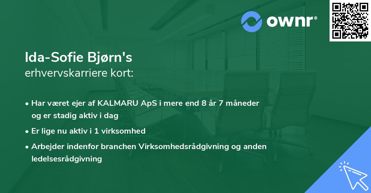 Ida-Sofie Bjørn's erhvervskarriere kort
