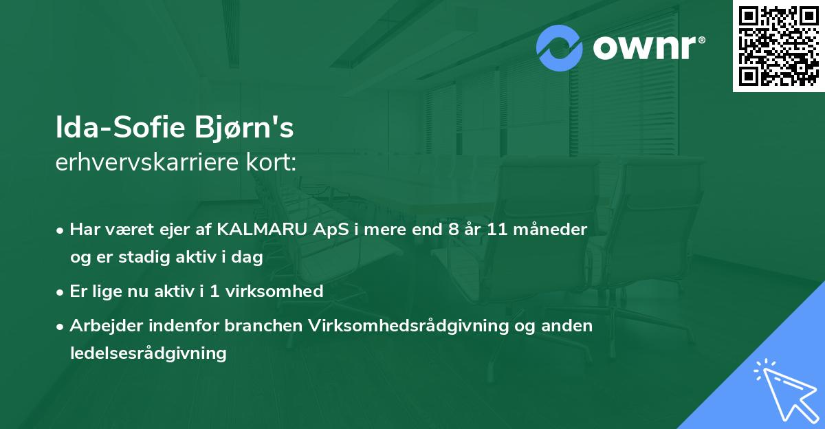 Ida-Sofie Bjørn's erhvervskarriere kort