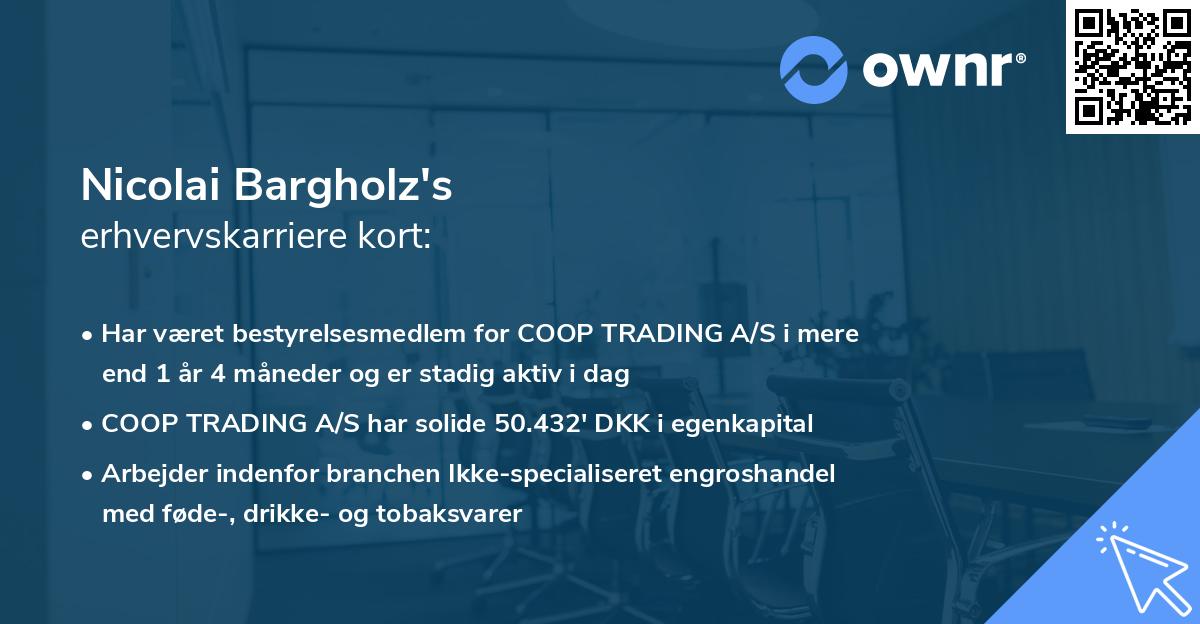Nicolai Bargholz's erhvervskarriere kort