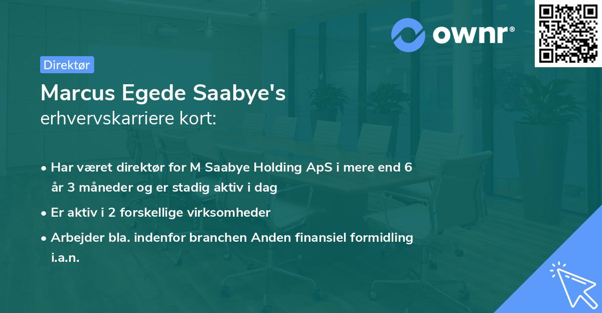 Marcus Egede Saabye's erhvervskarriere kort