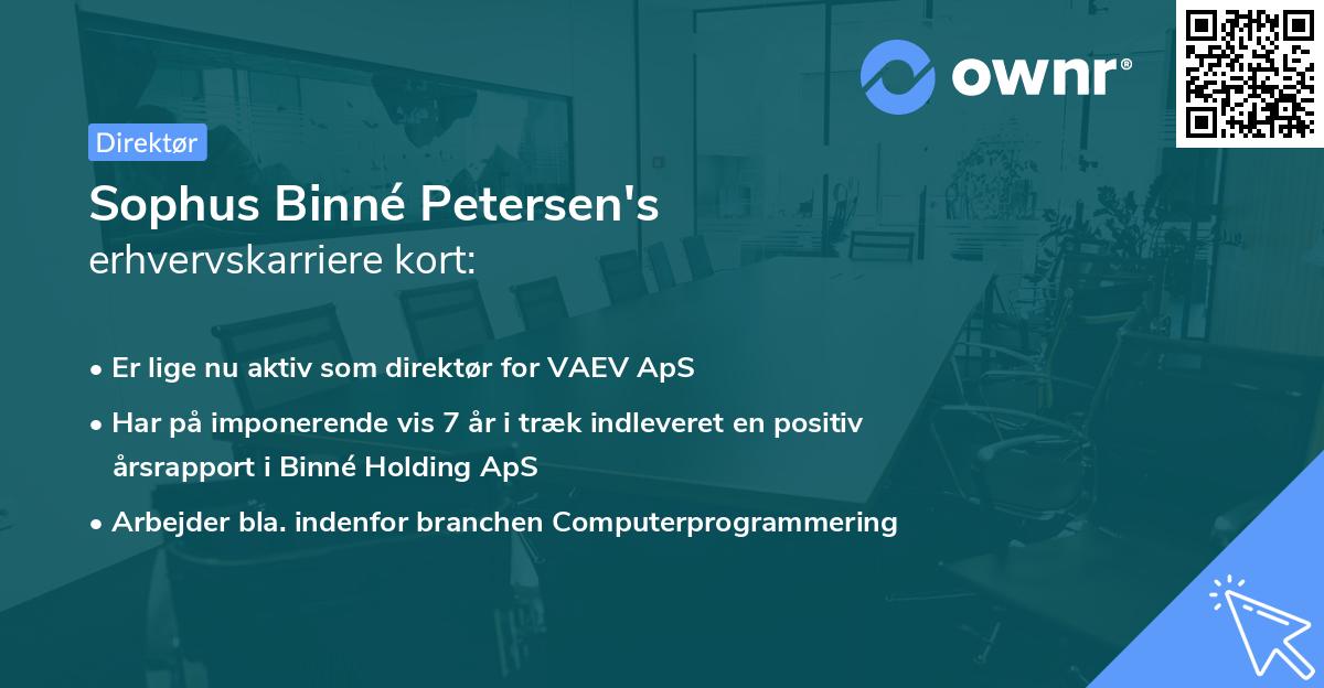 Sophus Binné Petersen's erhvervskarriere kort
