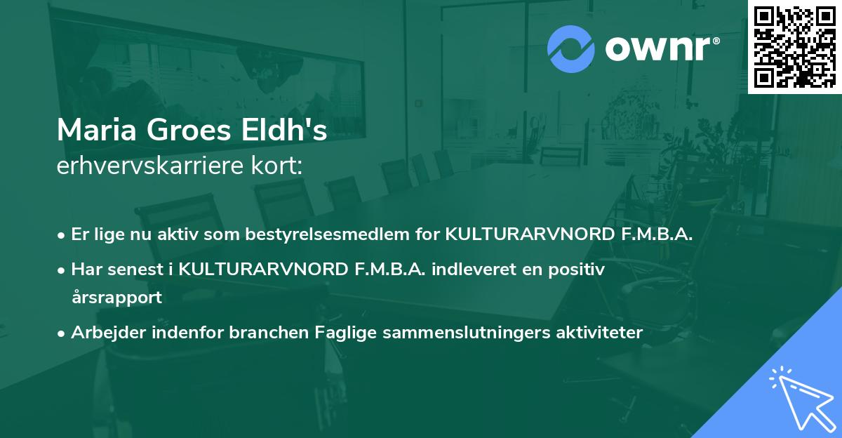 Maria Groes Eldh's erhvervskarriere kort