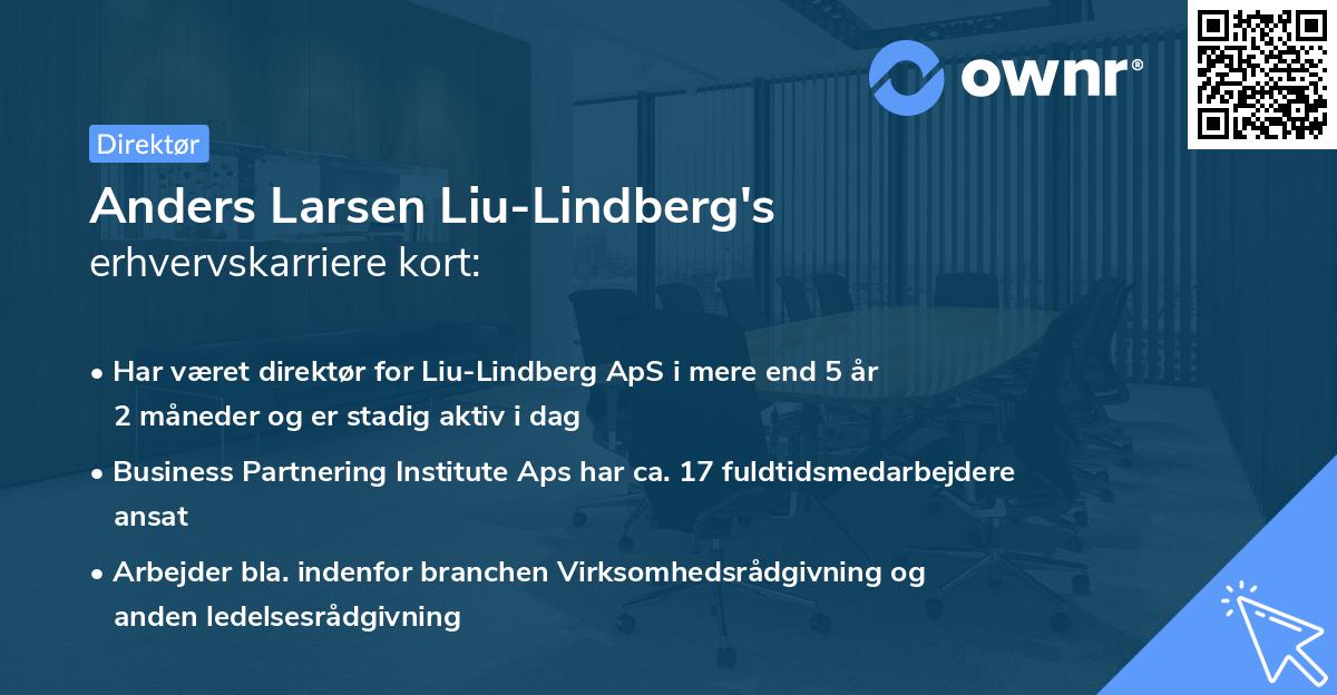 Anders Larsen Liu-Lindberg's erhvervskarriere kort