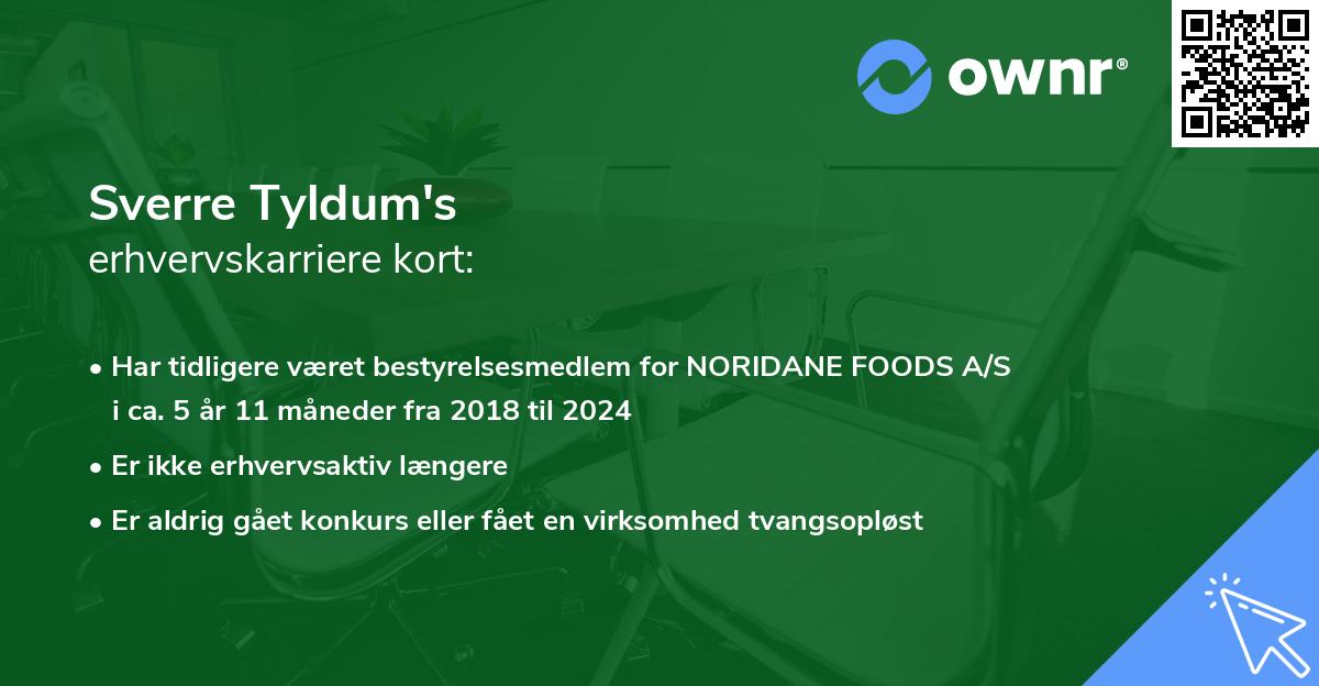 Sverre Tyldum's erhvervskarriere kort