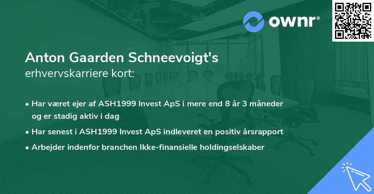 Anton Gaarden Schneevoigt's erhvervskarriere kort