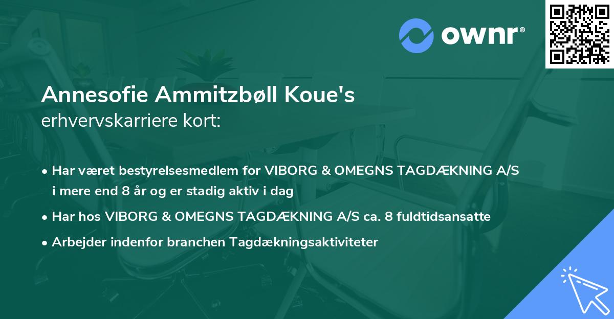 Annesofie Ammitzbøll Koue's erhvervskarriere kort