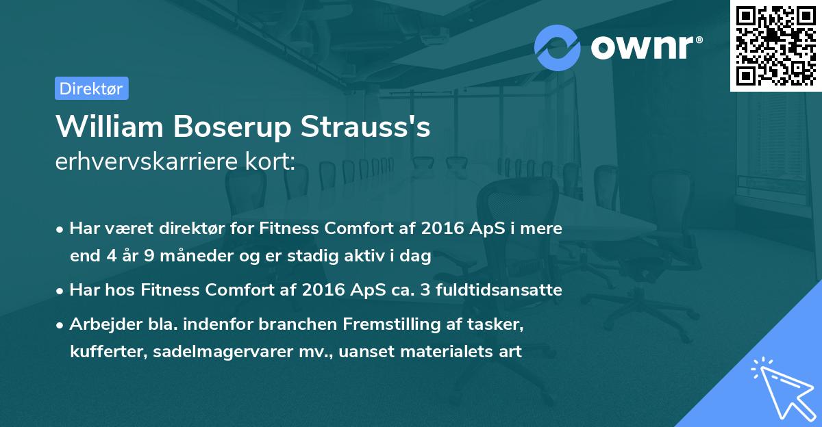 William Boserup Strauss's erhvervskarriere kort