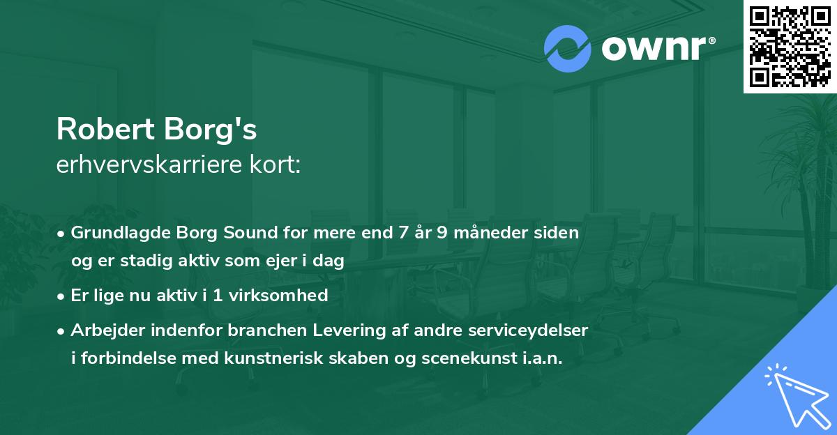 Robert Borg's erhvervskarriere kort